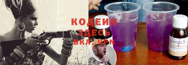 прущие грибы Арсеньев