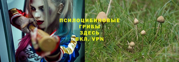 мет Алексин
