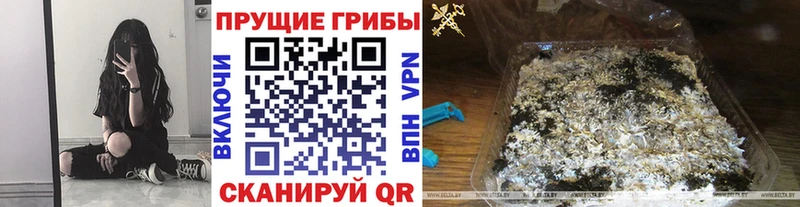 Галлюциногенные грибы GOLDEN TEACHER  сколько стоит  MEGA ссылка  Усть-Джегута 