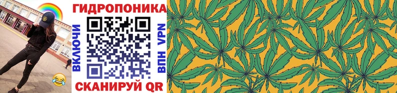 Марихуана Amnesia  нарко площадка какой сайт  Усть-Джегута  где можно купить наркотик 